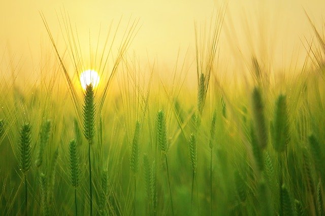 2024 Planning Approvals – Prism Ag Rural Planning