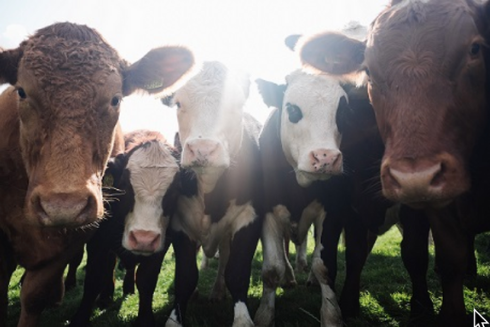 Success! Prism Ag Rural Planning adds a further four planning approvals to our tally for 2023
