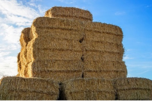 Success! Full Planning Granted for an Agricultural Building on Article 4 Land in Dacorum Borough