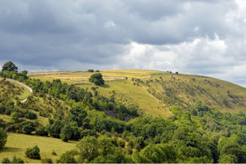 UK Government committed to planting 11 million trees by 2022